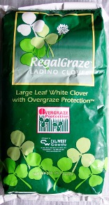 regal_graze.jpg